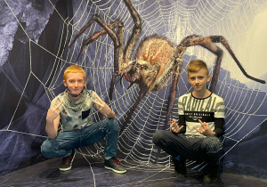 Wystawa pająków - "Wpadnij do naszej sieci"