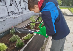 Uczeń dba o podlewanie roślin
