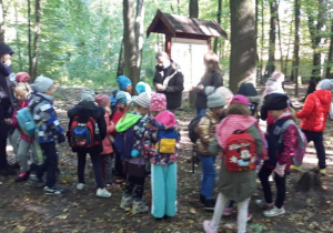 Klasa 2a i 2b na wycieczce w Lesie Łagiewnickim.